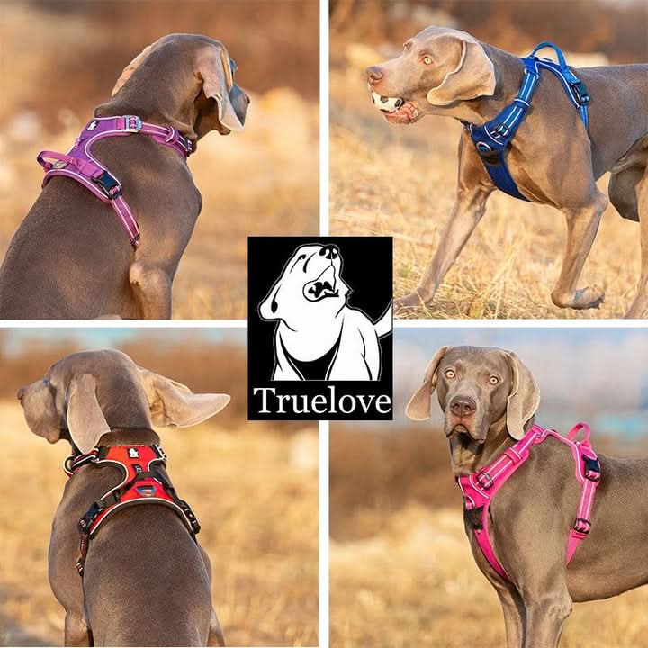 True Love No Pull Explosion Proof Dog Harness - Red, S